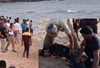 Body of youth who drowned in Beejadi traced in Karwar